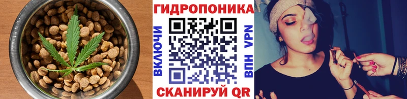 Cannafood марихуана  Светогорск 