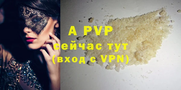 ECSTASY Ельня