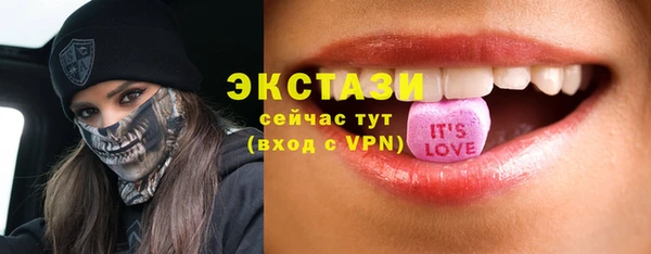 ECSTASY Ельня