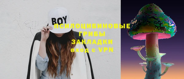 ECSTASY Ельня