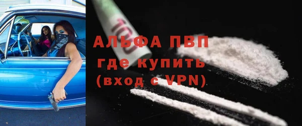 ECSTASY Ельня