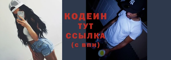 ECSTASY Ельня