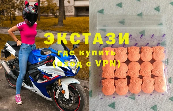 ECSTASY Ельня