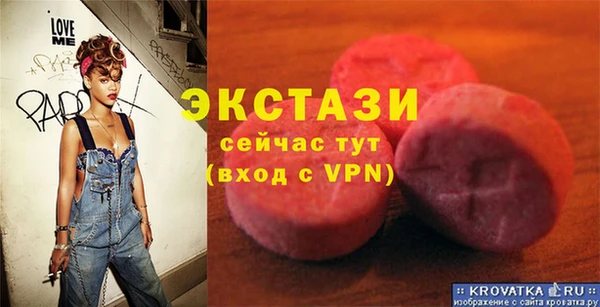 ECSTASY Ельня