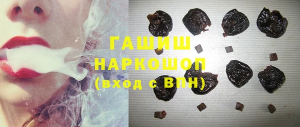 ECSTASY Ельня