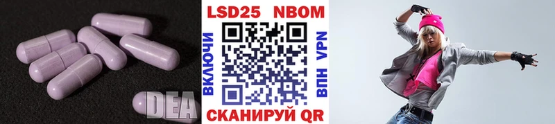 как найти закладки  Светогорск  Лсд 25 экстази кислота 