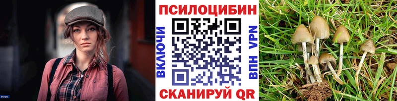 где купить   mega сайт  Галлюциногенные грибы Magic Shrooms  Светогорск 